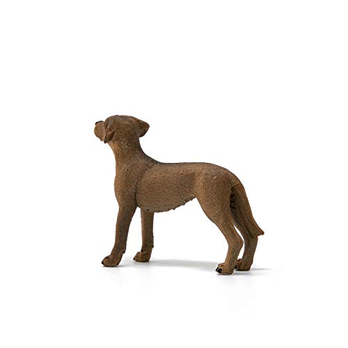 SCHLEICH 13895 Rhodesian Ridgeback, für Kinder ab 3+ Jahren, Farm World - Spielfigur