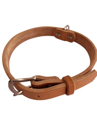 How to treat dog collar rash