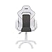 DRW, Silla Gamer, Silla de Oficina Gaming Estudio o Escritorio, Acabado en...