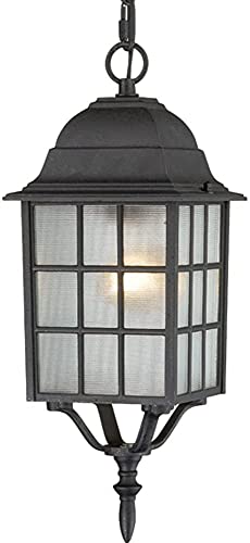 Image of Nuvo Lighting 60 /4913 Traditional One Light Hanging Lantern from Adams collection in Black finish
