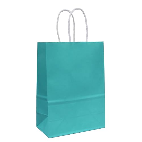 ADIDO EVA 12 Pcs Small Gift Bags Teal Blue Kraft Paper Bag Turquoise Gift Bags with Handles for Party Favors (8.2 x 6 x 3.1 In)