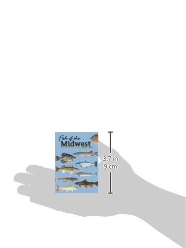 Fish of the Midwest Playing Cards (Nature's Wild Cards) - Image 2