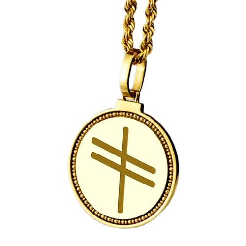Collier lion pirate argent 925 gravé LKBEADS pendentif rond 28 mm mixte avec chaîne de 18 pouces