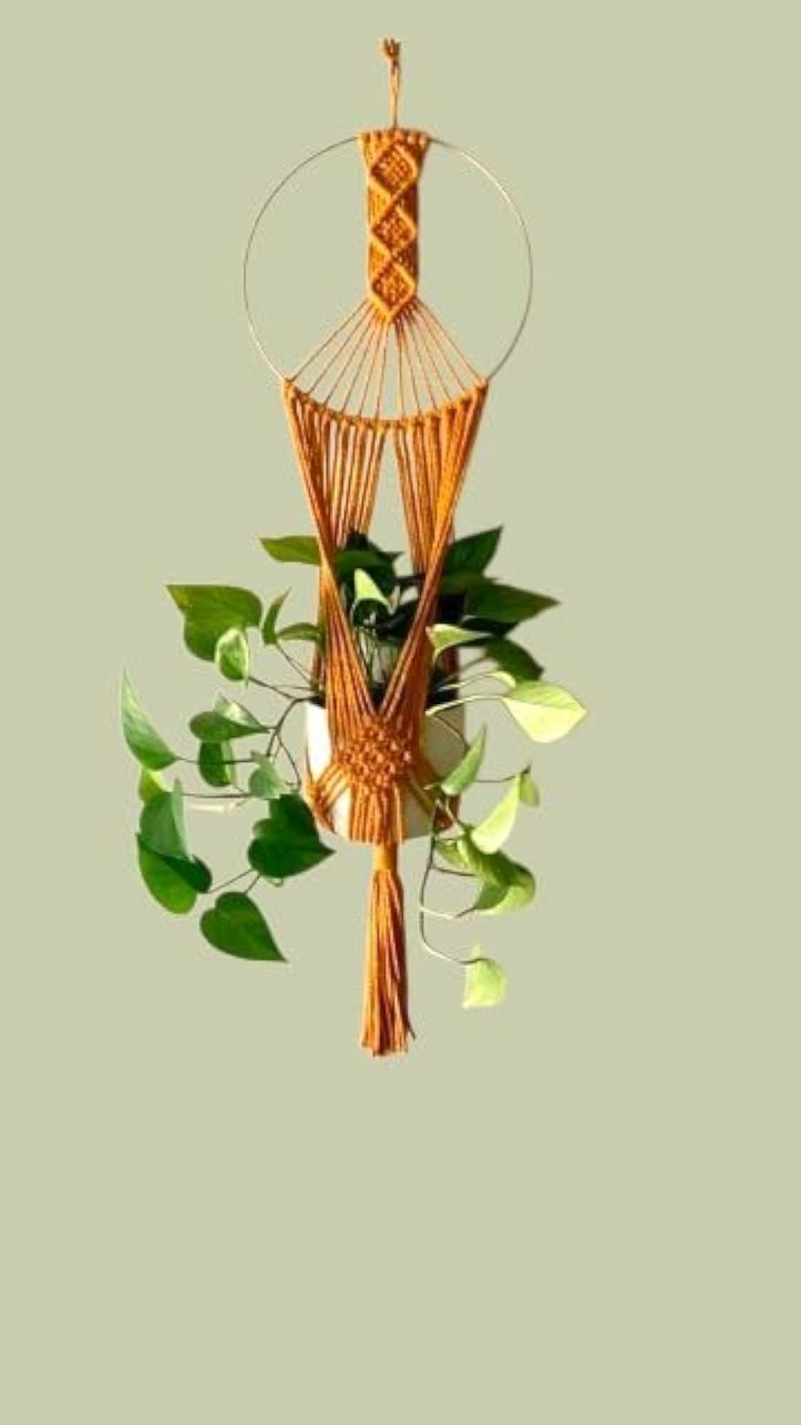 Tree of Life Dreamcatcher Macrame Wall Hanging Planter, Boho Decor