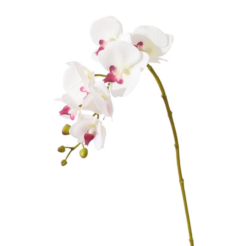 HUFFA Skandinavische künstliche Phalaenopsis-Orchideen – perfekt for Heimdekoration und Hochzeiten(Color3)