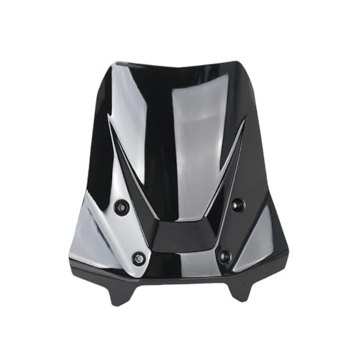 Pare-brise moto haut de gamme élargi R1300GS et GS1300