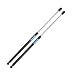 Qty(2) 6109 Liftgate Rear Hatch Trunk Lift Supports Shocks Struts Springs for 2001 To 2006 Hyundai Santa Fe 8177126011