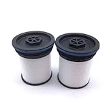 GSWSXH 2Pcs Fuel Filter DGF408 Diesel Fuel Filters Replacement for Jeep Grand Cherokee 3.0 4x2 4x4