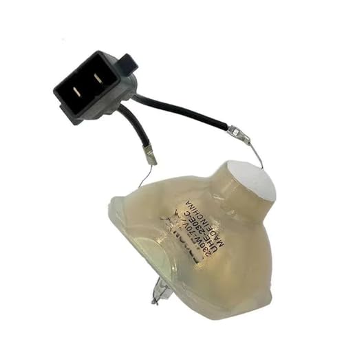 Ampoule de projecteur pour soirées cinéma avec EH-TW9200W