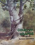 Pamphlet Country Graphs by Barbara and Cheryl Book