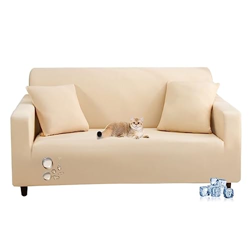 OSONA \t@Jo[ ⊴f Ђ \t@Jo[ 2l| It IȂ Lk \t@[V[c ėp  ڐG⊴f \t@Jo[ H k Xgb` z h_j RۖhL ی 􂦂 k ho h~ @\ 