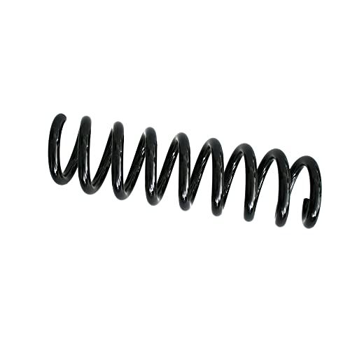 Ressorts hélicoïdaux SKF VKDL 38119 pour éliminer les bruits de suspension