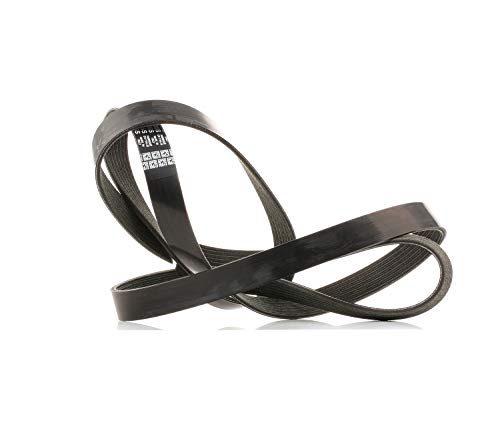 Courroie 7PK2035S Dayco pour remplacer courroie usée et bloquer bruits