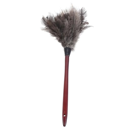 Amosfun Spazzole Per La Pulizia Della Polvere Per Uso Domestico Detergente Per Pavimenti Tappeti Lavabili Ventilatori Da Soffitto Miscelatori Domestici Detergente Per Polvere