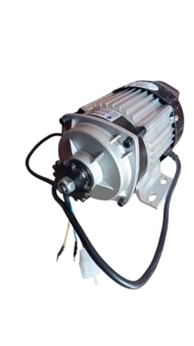 Image of 48v 800 Watt BLDC MOTOR For E-Rickshaw& E-Bike