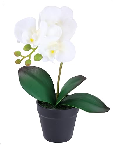 Künstliche Orchidee Phalaenopsis im Topf 30cm Real Touch Blüten realistische exotisch Blume Kunstblume Kunstorchidee Kunstpflanze Zimmerblume Zimmerdeko Hochzeit pflegeleicht Deko Seidenblume