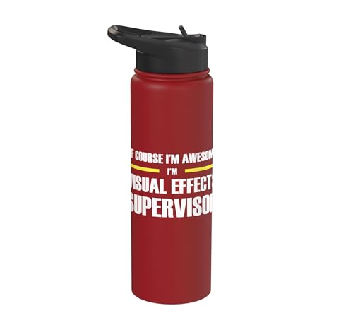 The Original Awesome Visual Effects Supervisor Stainless Steel Insulated Water