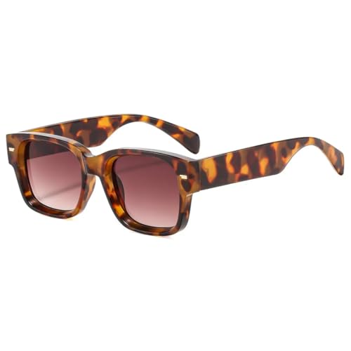 Lunettes de soleil anti UV400 au design rétro léopard pour homme et femme