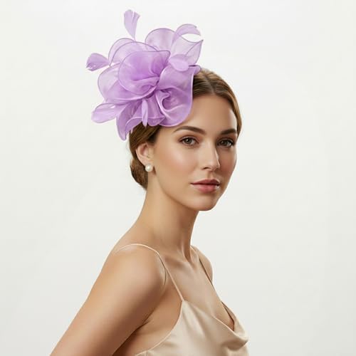 Image of DRESHOW Fascinators Hat Tea Party Headwear Ribbons Feathers on a Headband and a Clip for Women