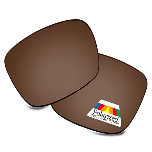 Bwake Replacement Lenses for Spy Helm 2 Sunglasses POLARIZED