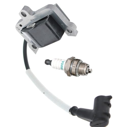 Bobine d'allumage résout problème de démarrage MS461 GS461 11284001313