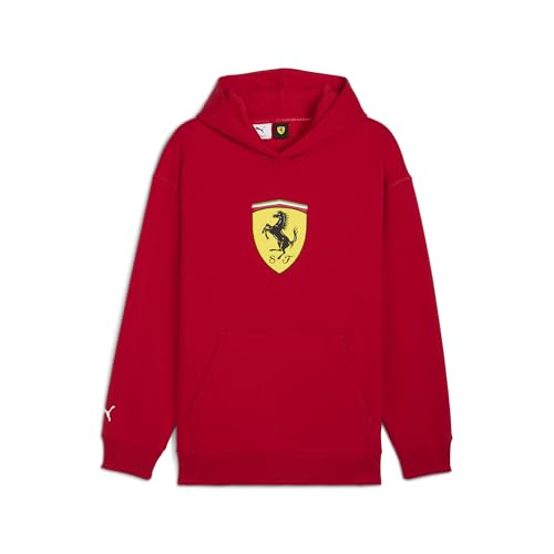Image of Puma Men Hoodies