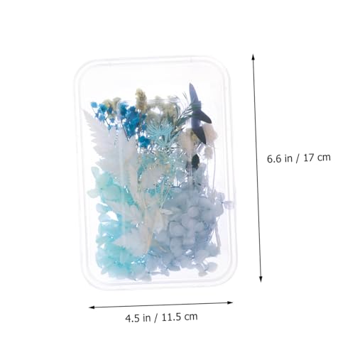Kit de flores secas para manualidades DIY DECHOUS miniatura 2