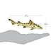 Safari Ltd. Leopard Shark Figurine - Detailed 5.5