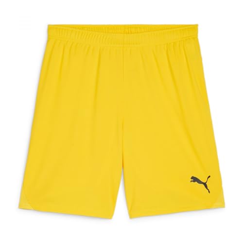 Image of PUMA - Mens Teamgoal 23 Knit Shorts