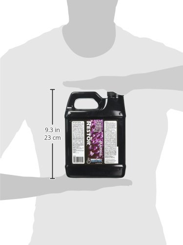 Brightwell Aquatics Restor - Liquid Coral Tissue Nutritional Supplement For Growth #TOP4