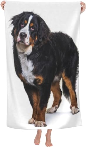 o[j[Y}EehbO  (3) oX^I 唻 z y  R hL ӂӂ Ԃp ƒp q  lC v[g