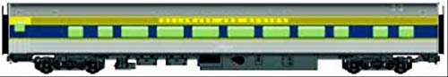 Walthers HO Scale 85' Budd Large-Window Coach Delaware & Hudson/D&H