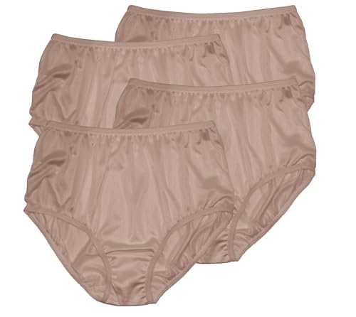 Image of Teri Women's 331 Plain Jane Classic Nylon Silky-Smooth Lightweight Breathable Full Coverage Brief Panty - 4 Pack