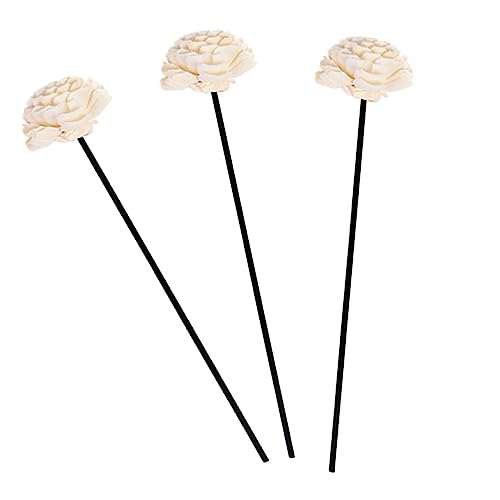 Decoración Flor Secada Aromaterapia para Hogar