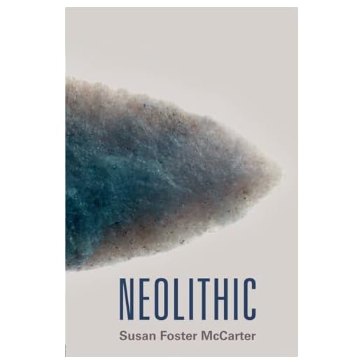 The Neolithic Era: A Glimpse into History