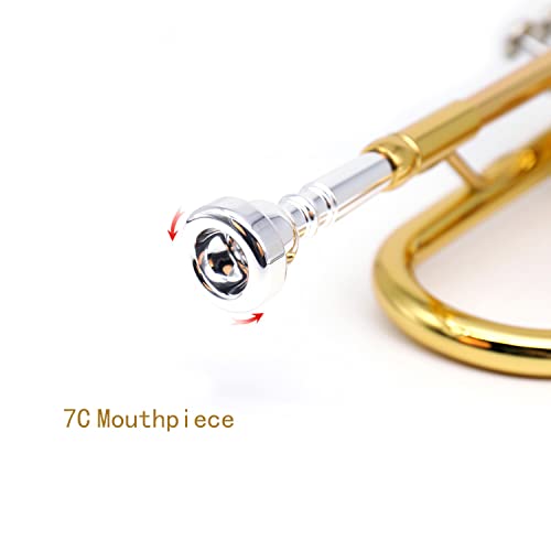 Lesage Standard Bb Trumpet B Flat Gold Trumpet For Student Beginners Brass Trumpet With 7C Mouthpiece Trumpet Cleaning Kit Valve Oil Trumpet Case #TOP2