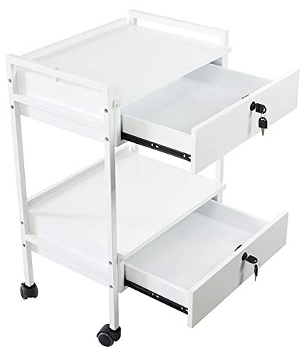 Pro Medical Dental Mobile Utility Cabinet & Cart with Steel Frame and Two Drawer