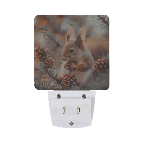 Image of Cute Squirrels Pine Cones Night Lights 2 Pack Plug-in Wall Led Nightlight Auto Dusk-to-Dawn Sensor Lamps for Bedroom Kitchen Bathroom