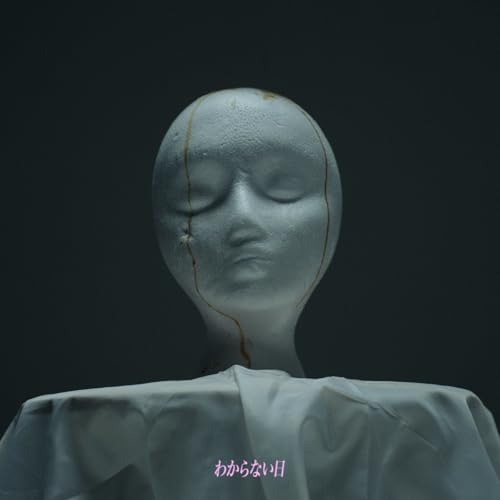 わからない日の商品画像