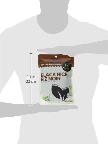 https://m.media-amazon.com/images/I/31UVWyMVYOL.jpg