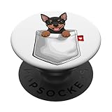 Simpatico cucciolo Pinscher in tasca, per gli amanti dei cani, mamma del cane, mamma Min Pin, papà cane, papà Min Pin, padrone di cani, fan di cuccioli, proprietari di animali domestici che amano divertenti illustrazioni di cuccioli, giocare a frisbee e vestiti divertenti per cani. Pinscher è il mio animale spirituale.