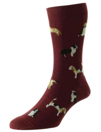 Photo de HJ Hall Chaussettes motif chiens de campagne 39-45, bordeaux, Taille unique
