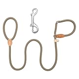 GTYHH 1 Pezzo di Linea E 1 Pezzo di Chiusura A Doppia Testa, Guinzaglio per Cani, Linea Anti-Perdita, Gancio Pilota in Metallo, Forniture per Animali.