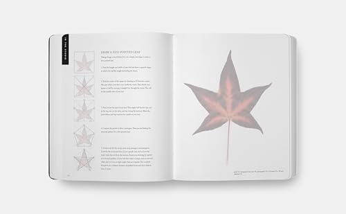 Beginning Drawing Atelier: An Instructional Sketchbook - Image 6