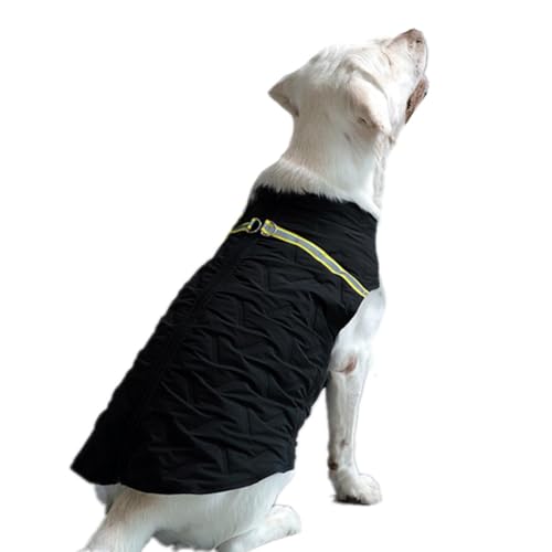 ICOUCHI  ybg xXgWPbg H~ ^ m  hbOEFA wJ p[J[ Ȃ g h R[g Č Hc Eѕی o U (4XL,ubN)