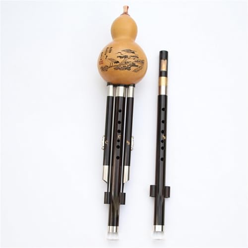 ̃E̓J Xe[WptH[}X厎 BtbgC̑gݍ킹 FGgݍ킹 G{j[ _ug[ Hulusi(B+c 1)