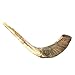 Ram's Horn Shofar Kosher Mini 10