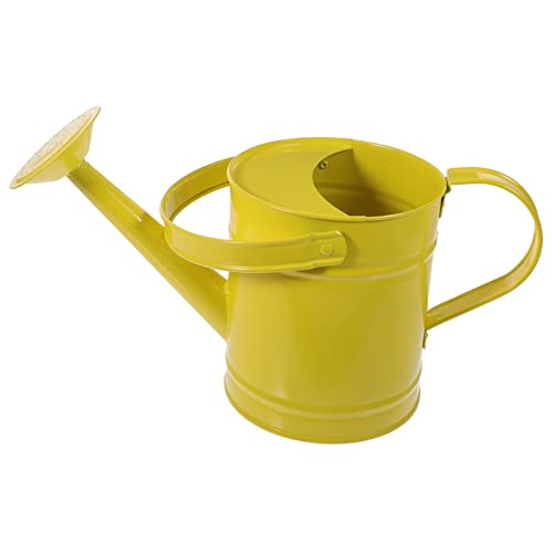 PHENOFICE Regadera para Jardinería Regadera para Exteriores Regaderas para Plantas De Exterior Botellas De Riego para Jardín Regadera para Interiores Regadera De Metal Regadera para Jardín