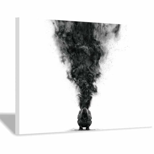 Tableau toile photo noir et blanc pour decoration murale de salon moderne