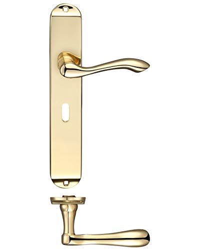 Fulton and Bray Arundel Door Handle on Long Backplate - Lockset - Polished Brass